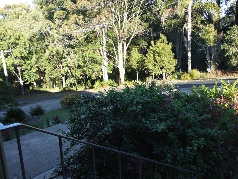 59 William Street, Bellingen NSW 2454