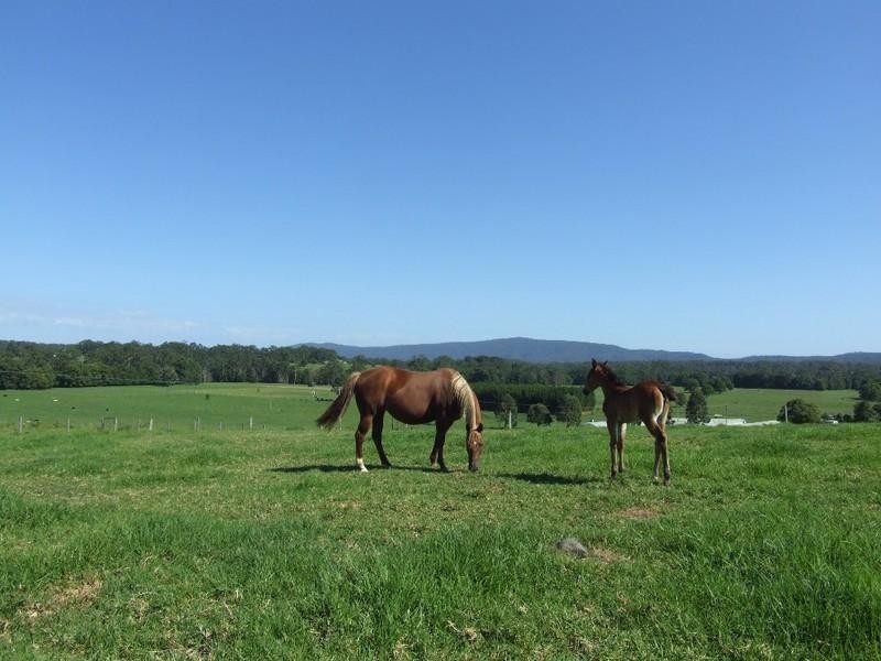 483 Mardells Road, Coffs Harbour NSW 2450