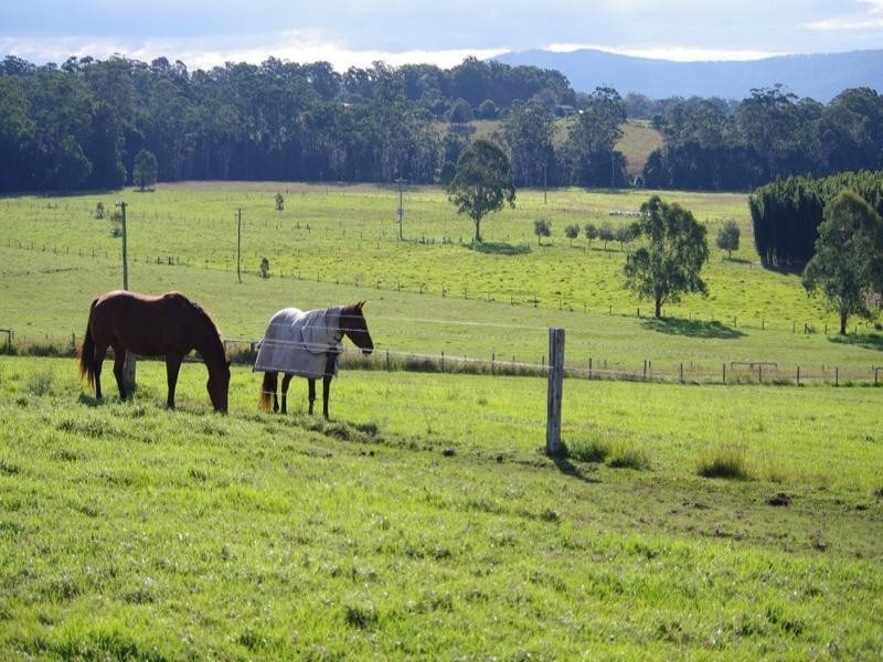 483 Mardells Road, Coffs Harbour NSW 2450