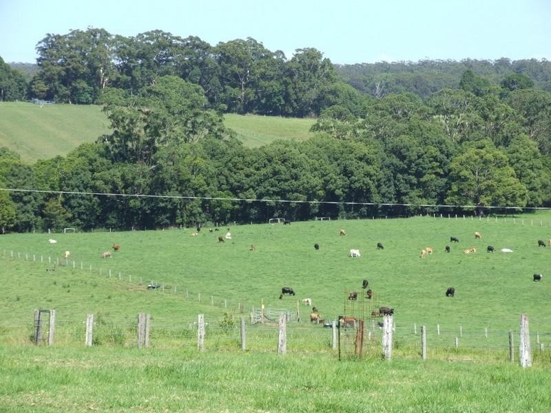 483 Mardells Road, Coffs Harbour NSW 2450
