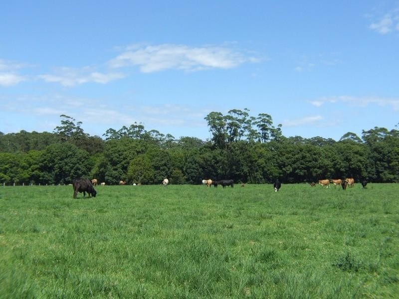 483 Mardells Road, Coffs Harbour NSW 2450