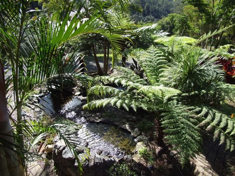 128D Friday Creek Road, Upper Orara NSW 2450