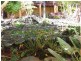 128D Friday Creek Road, Upper Orara NSW 2450