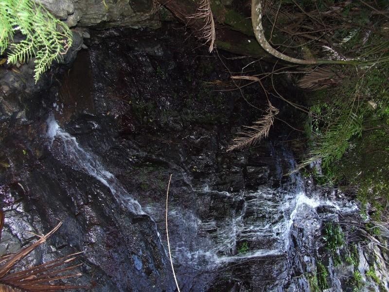 128D Friday Creek Road, Upper Orara NSW 2450