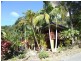 128D Friday Creek Road, Upper Orara NSW 2450