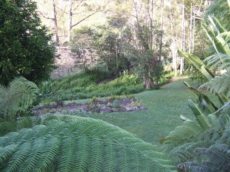 1117 Waterfall Way, Bellingen NSW 2454