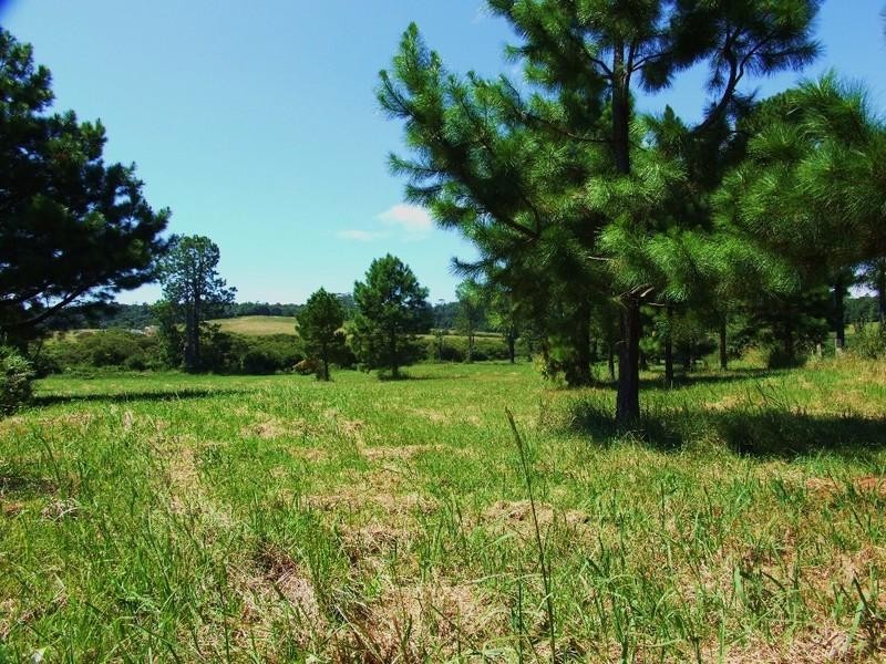 Lot 1 Grafton Street, Lowanna NSW 2450