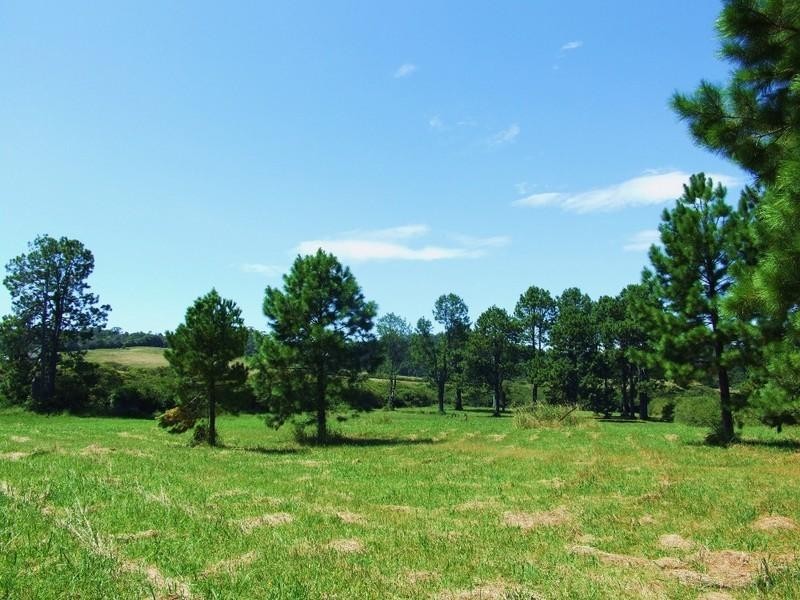 Lot 1 Grafton Street, Lowanna NSW 2450