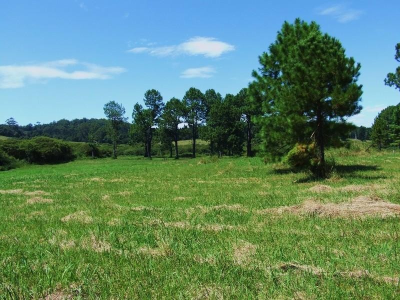 Lot 1 Grafton Street, Lowanna NSW 2450