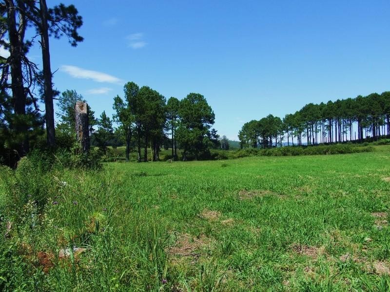 Lot 1 Grafton Street, Lowanna NSW 2450