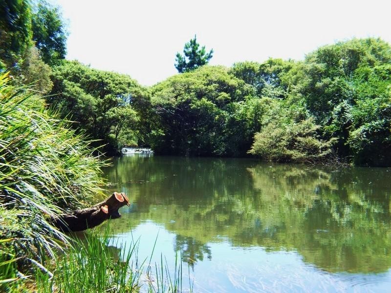 Lot 1 Grafton Street, Lowanna NSW 2450