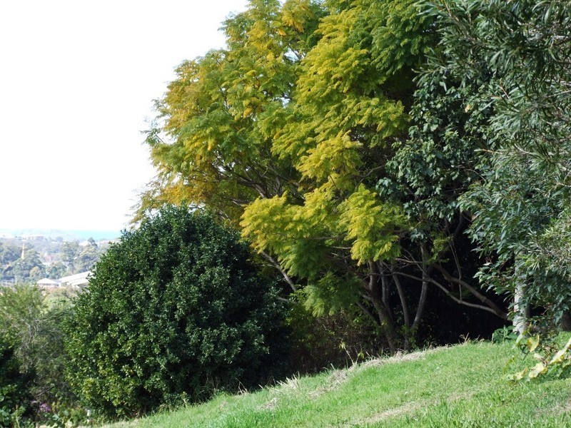 29B Kratz Drive, Coffs Harbour NSW 2450