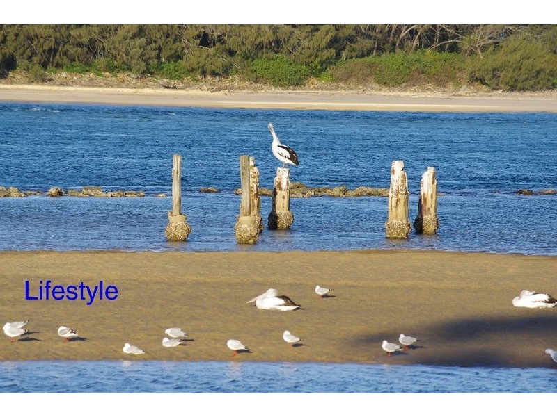 24 Morgo Street, Urunga NSW 2455