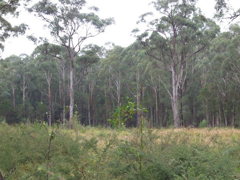 16 Wakelands Road, Coffs Harbour NSW 2450