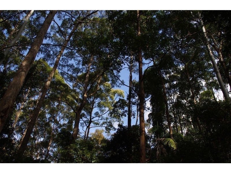 9 Maccues Road, Moonee Beach NSW 2450