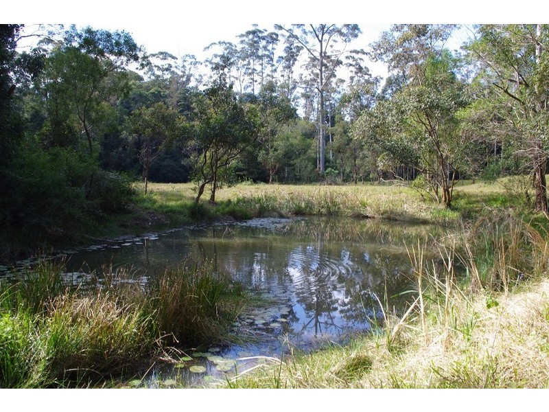 9 Maccues Road, Moonee Beach NSW 2450