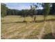 9 Maccues Road, Moonee Beach NSW 2450