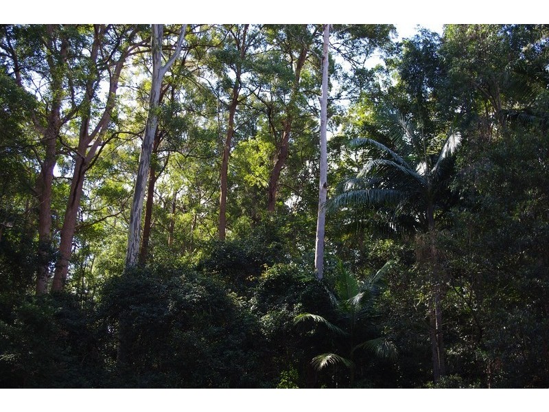 9 Maccues Road, Moonee Beach NSW 2450