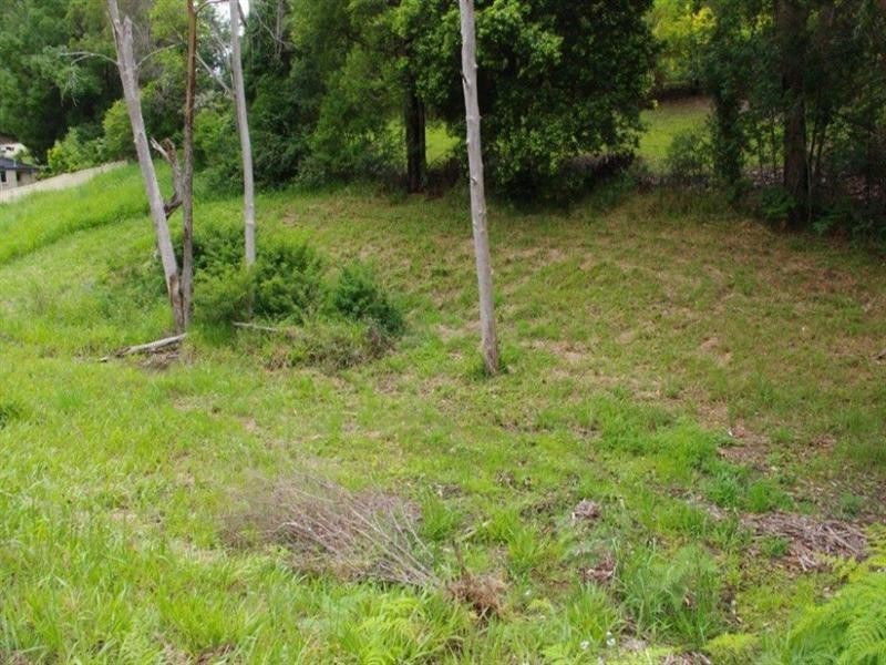 9 Tuckeroo Close, Coffs Harbour NSW 2450