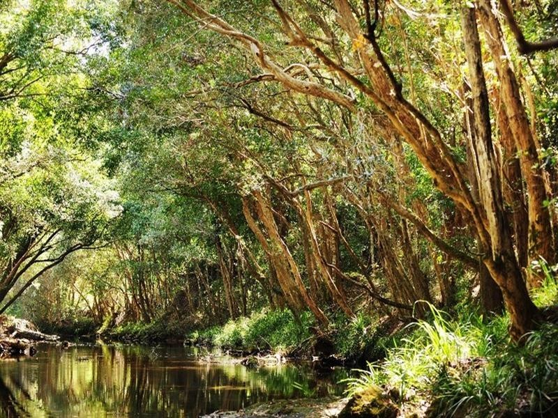 51 John Locke Place, Gleniffer NSW 2454