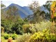 51 John Locke Place, Gleniffer NSW 2454