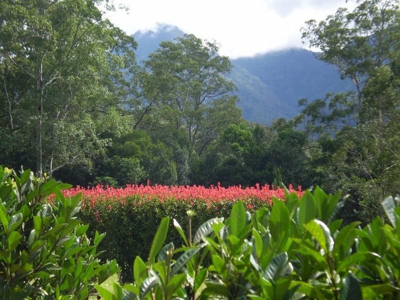 51 John Locke Place, Gleniffer NSW 2454