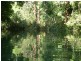 51 John Locke Place, Gleniffer NSW 2454