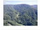 802 Dairyville Road, Upper Orara NSW 2450