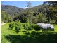 802 Dairyville Road, Upper Orara NSW 2450