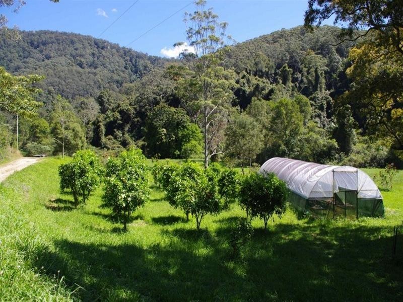 802 Dairyville Road, Upper Orara NSW 2450