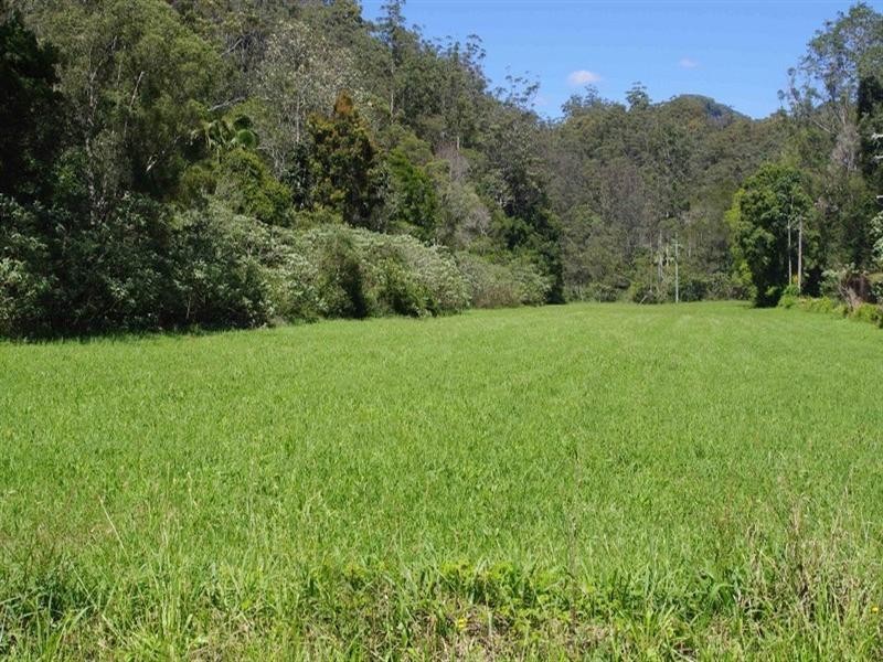 802 Dairyville Road, Upper Orara NSW 2450