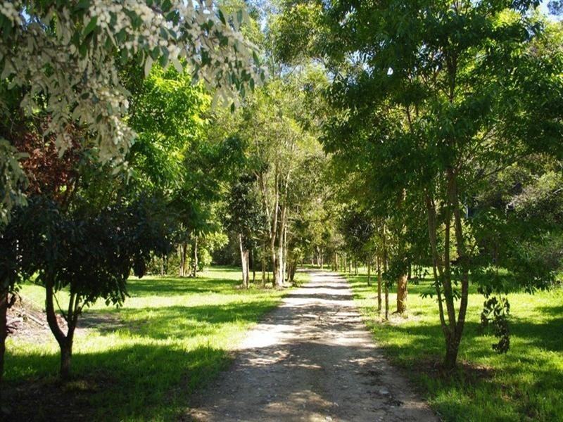802 Dairyville Road, Upper Orara NSW 2450
