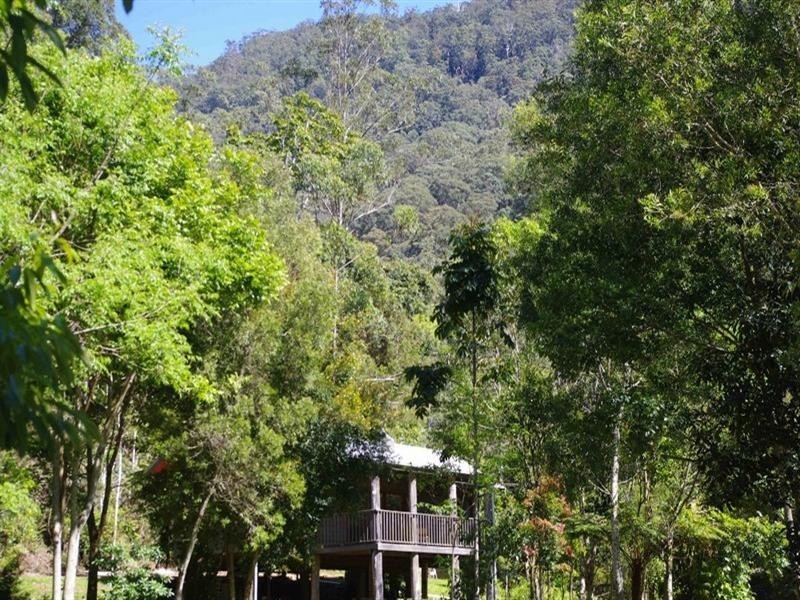 802 Dairyville Road, Upper Orara NSW 2450