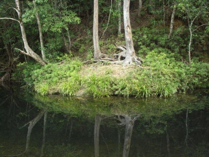 802 Dairyville Road, Upper Orara NSW 2450