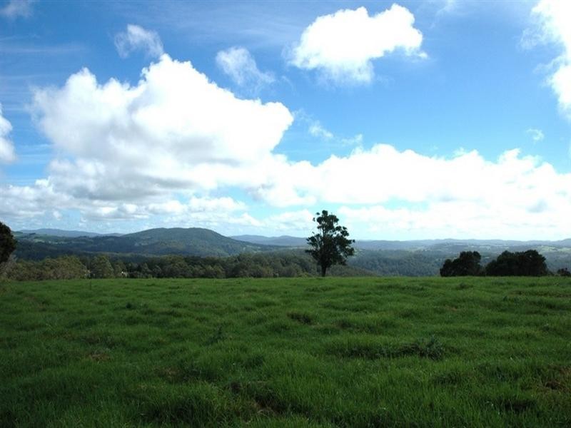 5050 Waterfall Way, Dorrigo NSW 2453