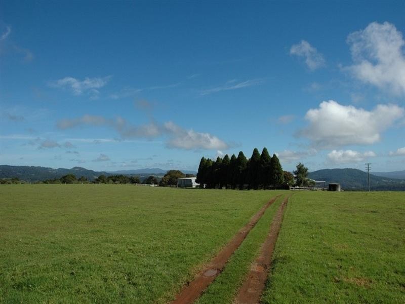 5050 Waterfall Way, Dorrigo NSW 2453