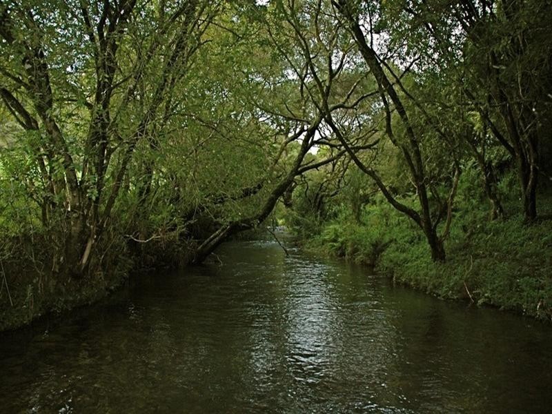 5050 Waterfall Way, Dorrigo NSW 2453