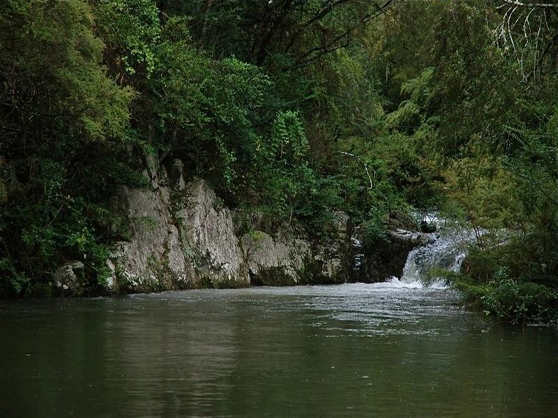 5050 Waterfall Way, Dorrigo NSW 2453