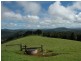 5050 Waterfall Way, Dorrigo NSW 2453