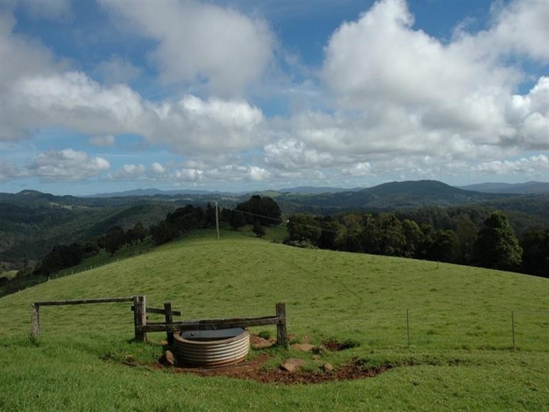 5050 Waterfall Way, Dorrigo NSW 2453