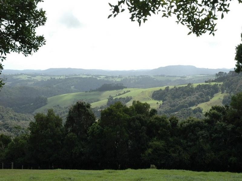 5050 Waterfall Way, Dorrigo NSW 2453