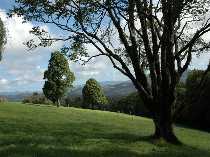 5050 Waterfall Way, Dorrigo NSW 2453