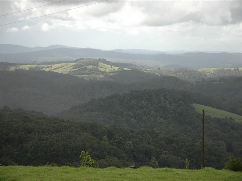5050 Waterfall Way, Dorrigo NSW 2453
