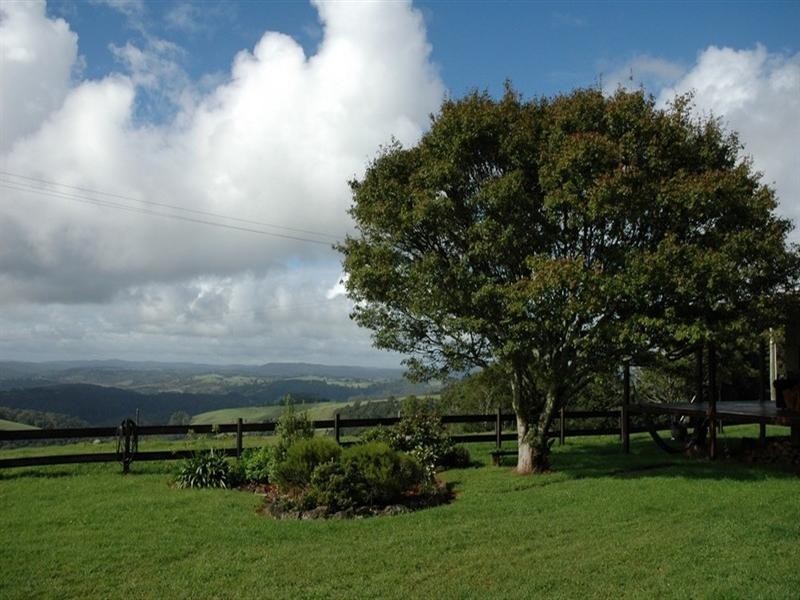 5050 Waterfall Way, Dorrigo NSW 2453