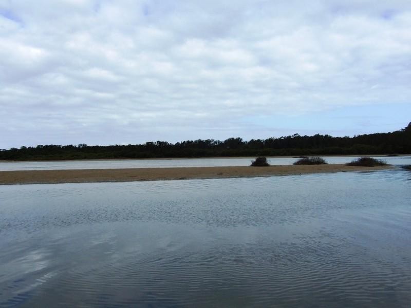 18 Tom Albert Place, Sawtell NSW 2452