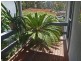1/21 Ibis Drive, Boambee East NSW 2452