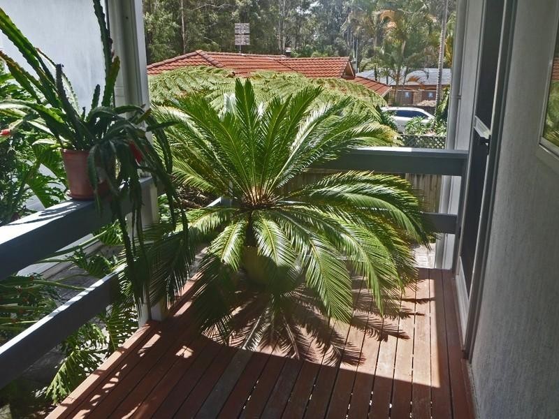 1/21 Ibis Drive, Boambee East NSW 2452