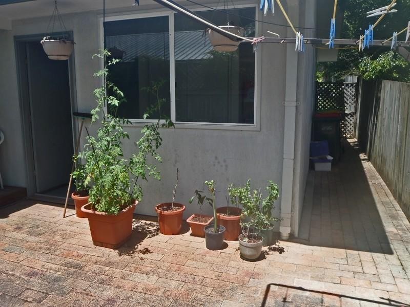 1/21 Ibis Drive, Boambee East NSW 2452