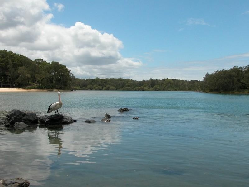 14/134 First Avenue, Sawtell NSW 2452