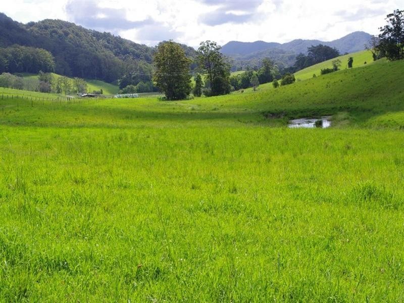 415 Fridays Creek Road, Upper Orara NSW 2450